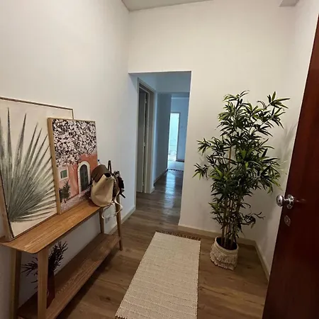Apartment Cozy Ponta Delgada (Sao Miguel)